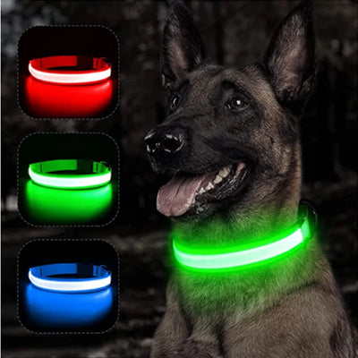USB Rechargeable LED Pet Safety Collar – Glowing, Adjustable & Breakaway Design