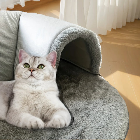 3-in-1 Cat Tunnel Bed – Interactive Play Mat, Hideaway Nest & Sleeping Cave for Small to Medium Cats