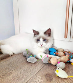 Catnip Mouse Toys – Plush Faux Fur Rattle Mice for Indoor Cats, Interactive Play & Exercise
