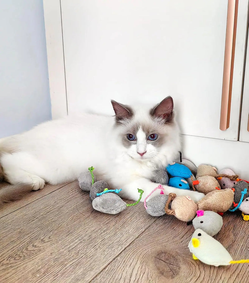 Catnip Mouse Toys – Plush Faux Fur Rattle Mice for Indoor Cats, Interactive Play & Exercise