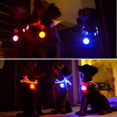 USB Rechargeable LED Pet Collar – Glowing Night Safety Collar with  Pendant for Dogs