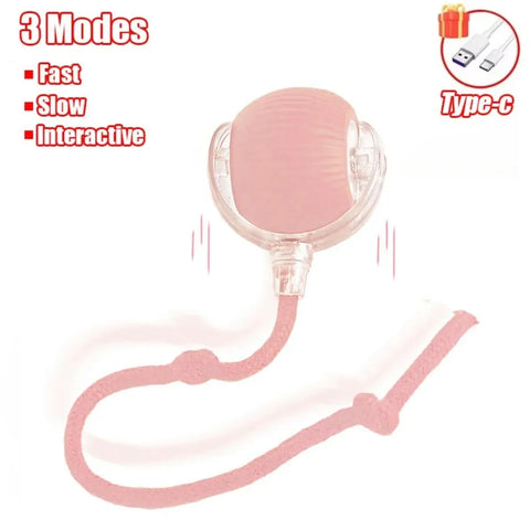 Smart Rolling Cat Toy – Interactive Fun for Curious Pets