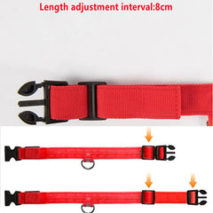 USB Rechargeable LED Pet Collar – Glowing Night Safety Collar with  Pendant for Dogs