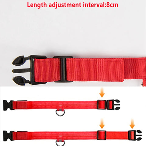 USB Rechargeable LED Pet Collar – Glowing Night Safety Collar with  Pendant for Dogs