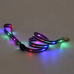 USB Rechargeable LED Dog Leash or Dog Collar