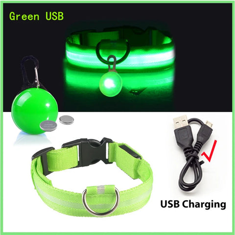 USB Rechargeable LED Pet Collar – Glowing Night Safety Collar with  Pendant for Dogs