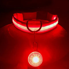 USB Rechargeable LED Pet Collar – Glowing Night Safety Collar with  Pendant for Dogs