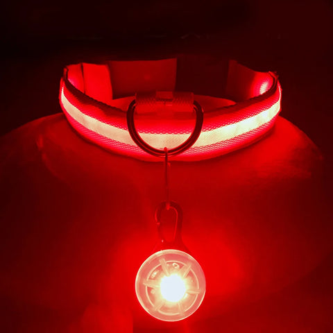 USB Rechargeable LED Pet Collar – Glowing Night Safety Collar with  Pendant for Dogs