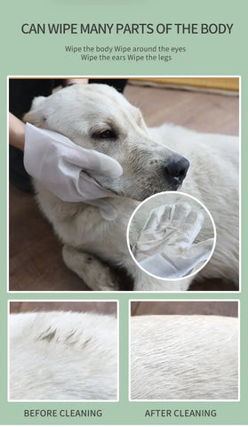 6PCS No-Rinse Disposable Pet Cleaning Glove Towels – Deodorizing Wet Wipes for Cats & Dogs