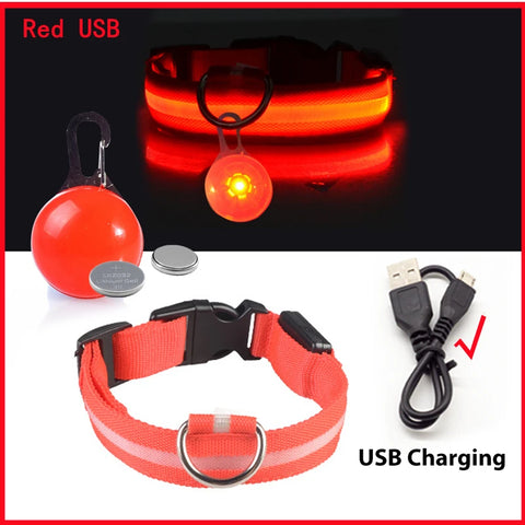 USB Rechargeable LED Pet Collar – Glowing Night Safety Collar with  Pendant for Dogs