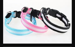 LED Nylon Dog Collar