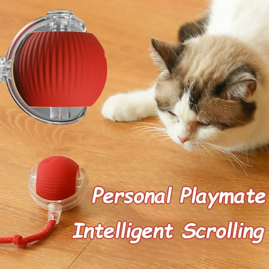 Smart Rolling Cat Toy – Interactive Fun for Curious Pets