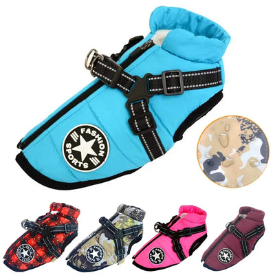 Dog Jacket With Harness