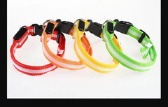 LED Nylon Dog Collar