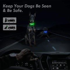 USB Rechargeable LED Pet Collar – Glowing Night Safety Collar with  Pendant for Dogs