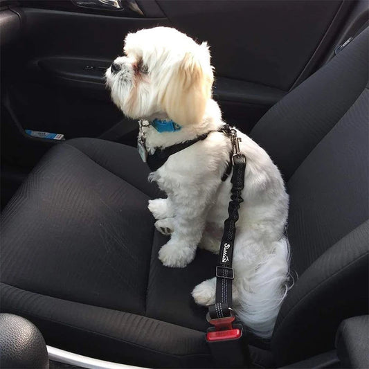 Adjustable Pet Car Safety Seat Belt – Elastic Shock-Absorbing Travel Restraint for Dogs & Cats