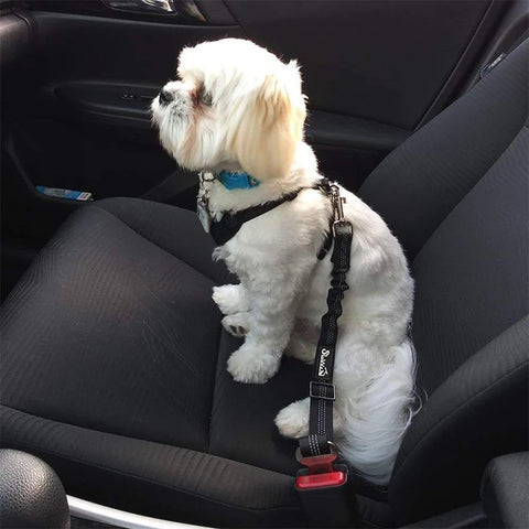 Adjustable Pet Car Safety Seat Belt – Elastic Shock-Absorbing Travel Restraint for Dogs & Cats