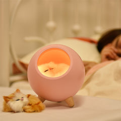 USB Cat Touch Night Light